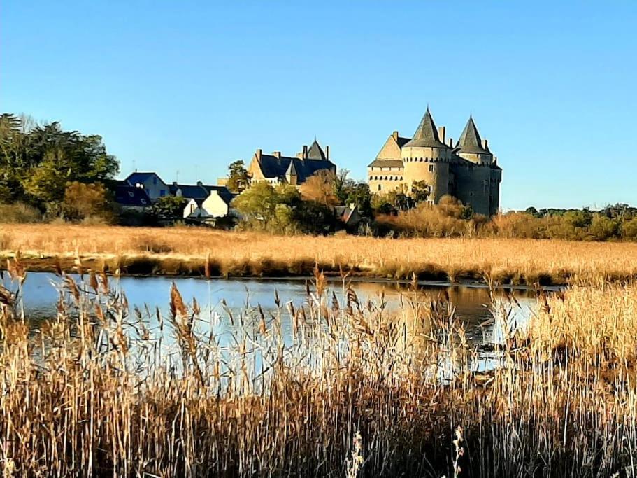 Hyper Centre De Sarzeau, Grand Appartement Au Calme Avec Jardinet Esterno foto
